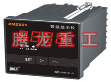 溫度表、數(shù)字顯示儀、濕度表