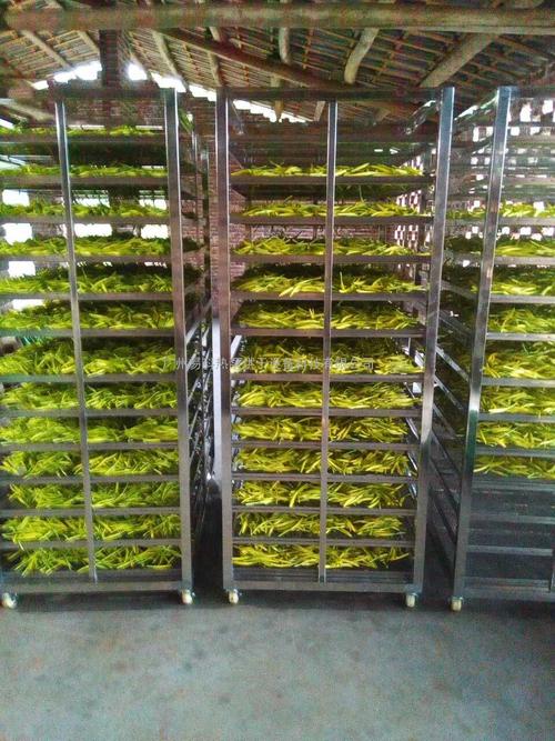 黃花菜烘干機(jī)、黃花菜烘干設(shè)備、黃花菜干燥機(jī)、黃花菜干燥設(shè)備、