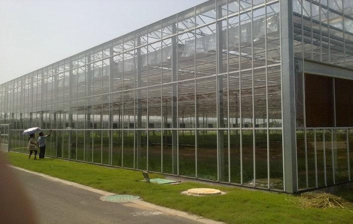 玻璃温室产品-河北农兴温室工程